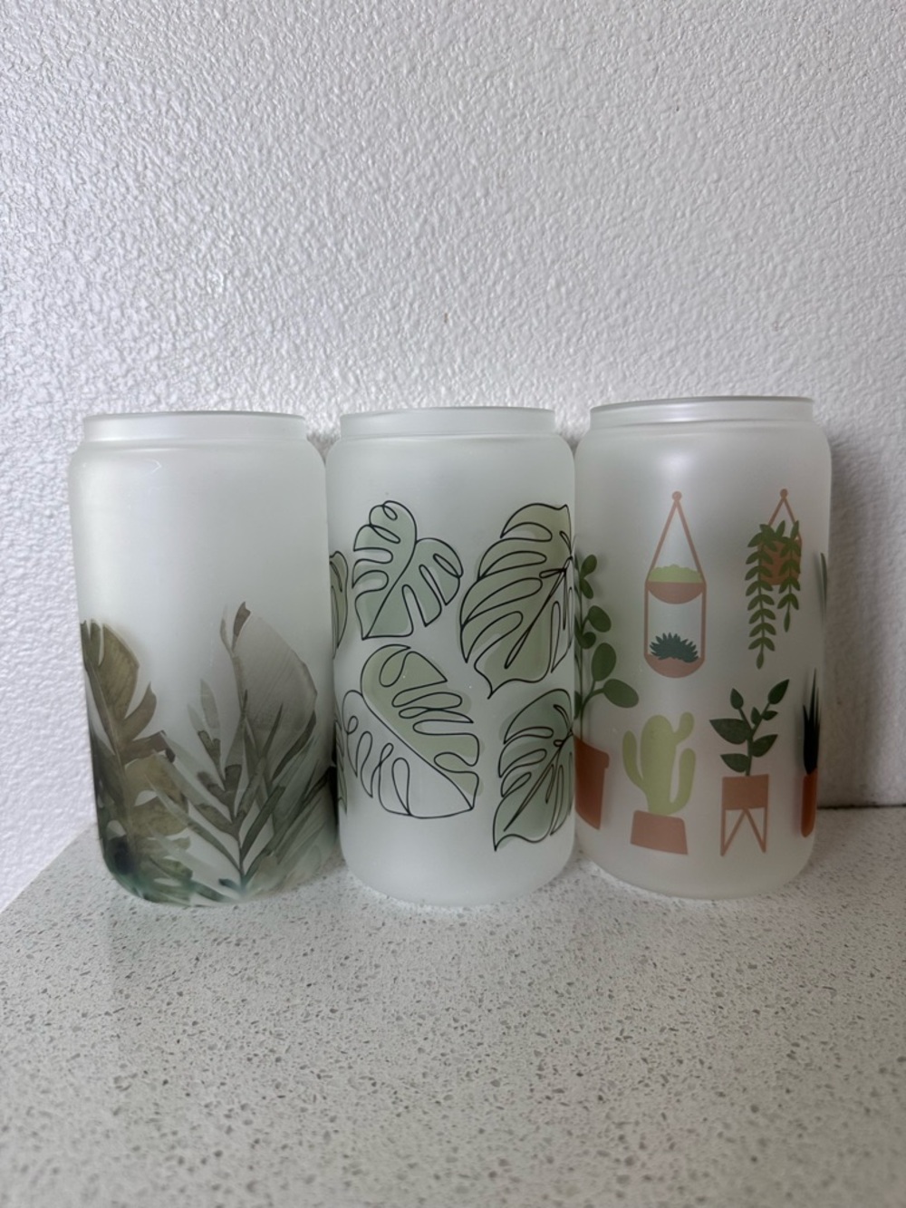 Frosted Glass Plant Lady Ice Glass Bundle